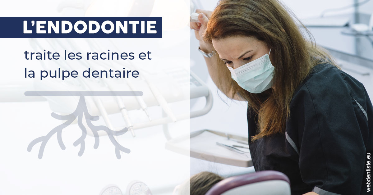https://www.centredentaireollioules.fr/L'endodontie 1