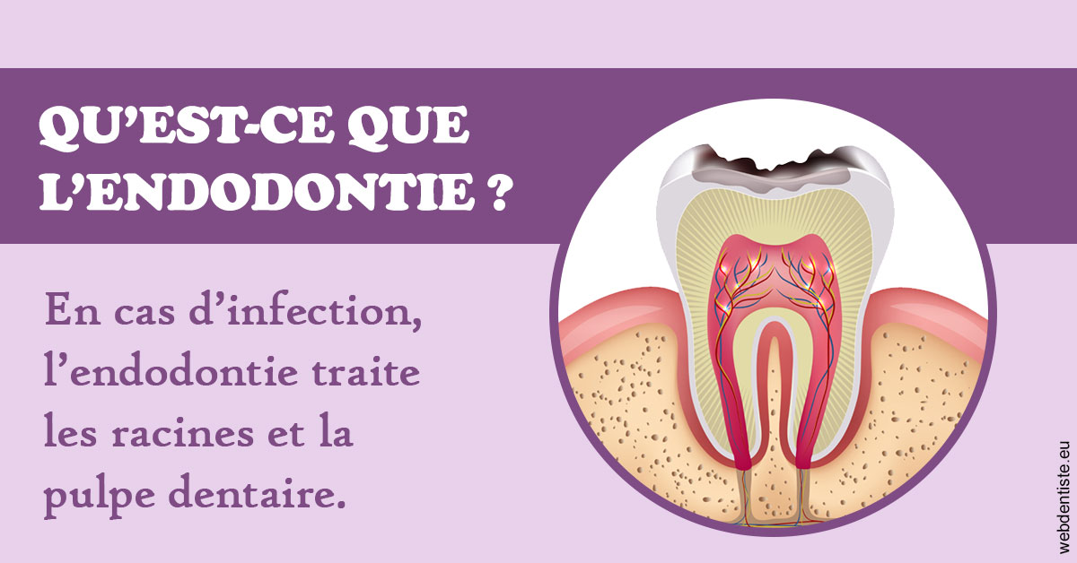 https://www.centredentaireollioules.fr/2024 T1 - Endodontie 02