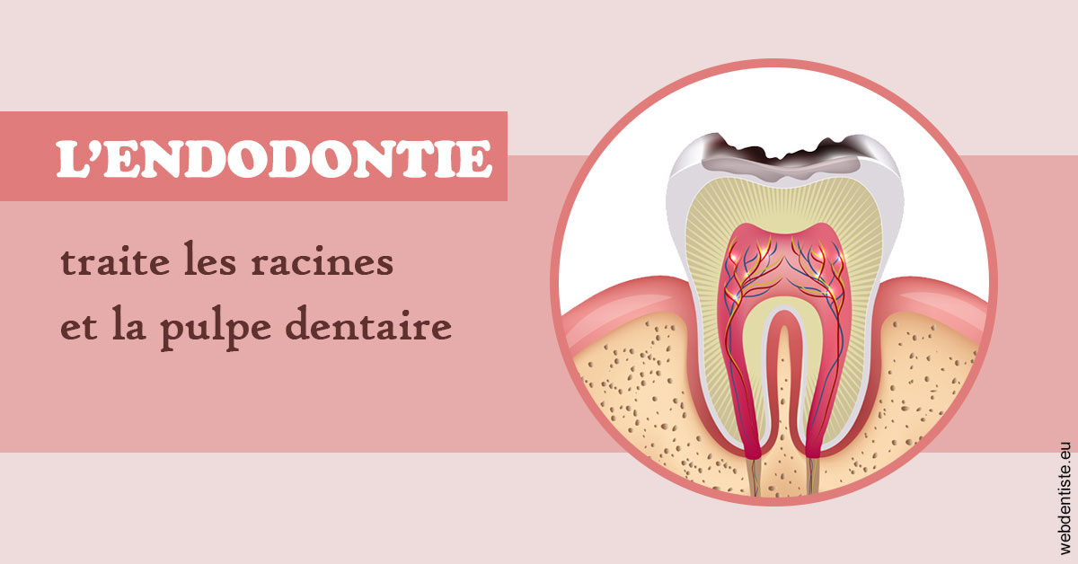 https://www.centredentaireollioules.fr/L'endodontie 2