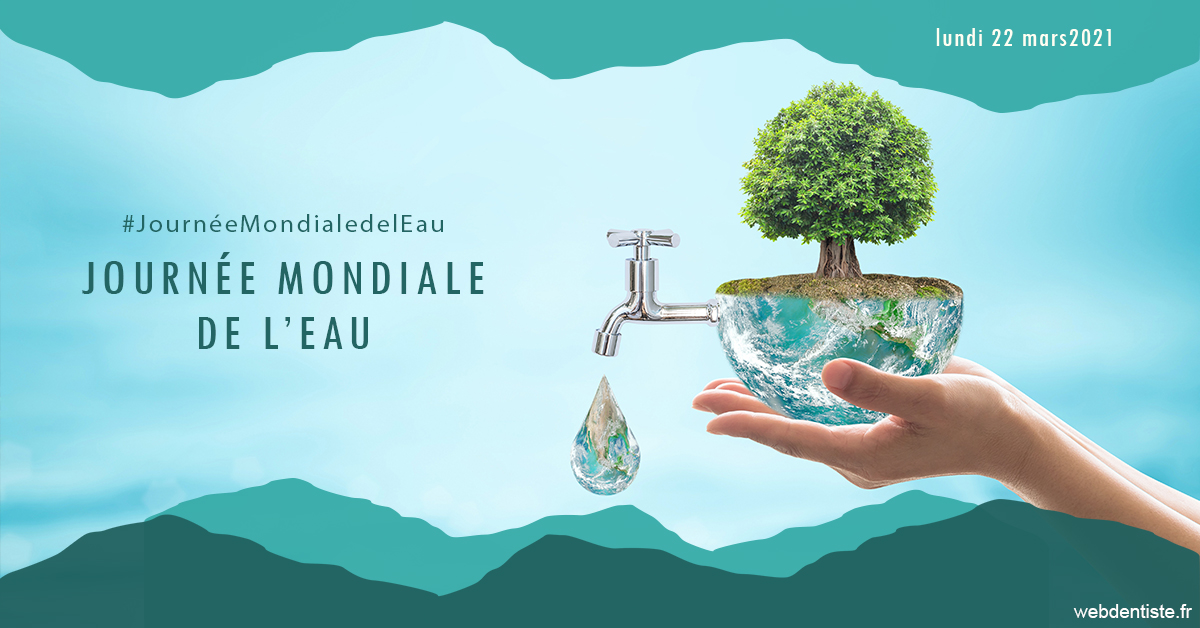 https://www.centredentaireollioules.fr/Journée de l'eau 1