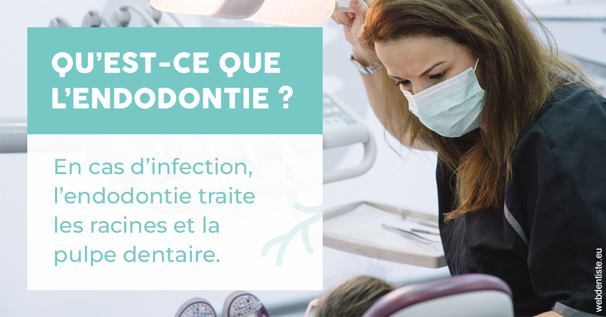 https://www.centredentaireollioules.fr/2024 T1 - Endodontie 01